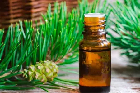 Saç tökülməsini dayandırmağın möcüzə üsulu