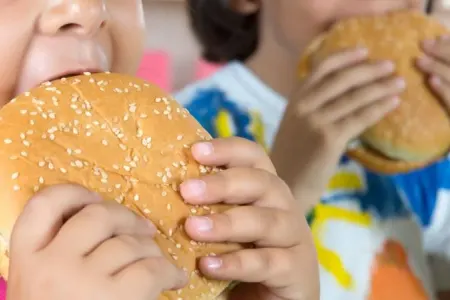 Yeyilən zərərli yeməklər beyinə qalıcı ziyan vura bilər