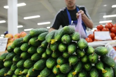 Azərbaycanda xiyar kəskin ucuzlaşdı