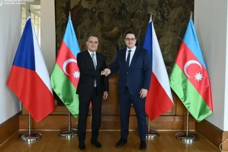 Ceyhun Bayramov çexiyalı həmkarı ilə görüşdü