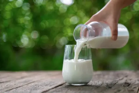 Pasterizə edilmiş süddə quş qripi aşkarlandı