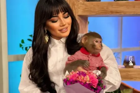 “Özümə övlad yox meymun arzulayıram” - VİDEO