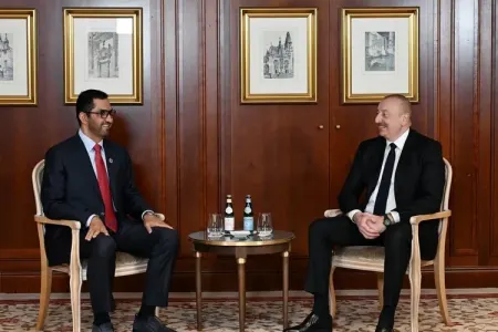 Prezident BƏƏ naziri ilə görüşdü - FOTO
