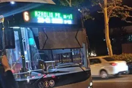Bakıda ağac "Baku Bus"un üzərinə aşdı - VİDEO