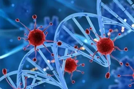 Xərçənglə bu xəstəlik arasında əlaqə tapıldı