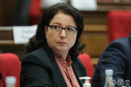 “Bu ərazilər Ermənistana məxsus deyil” - Tiqranyan__NEWL____NEWL__