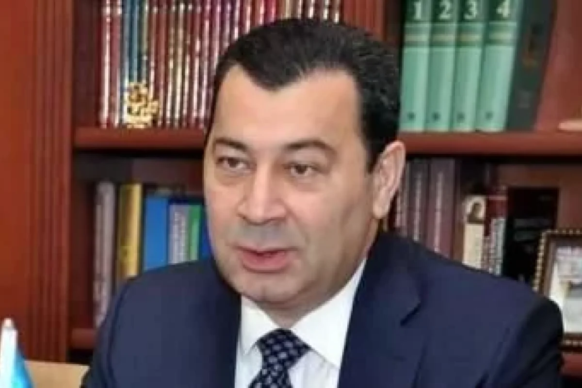 Frank Şvabe siyasi terrorçudur - Səməd Seyidov