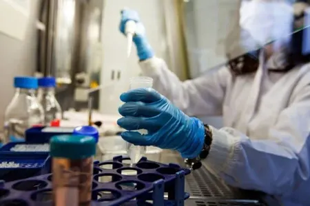 Ölümcül “göbələk epidemiyası” riski artır