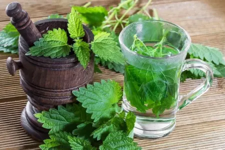 Əzələ ağrıları, revmatizm və dəri xəstəliklərinə son qoyan - Möcuzəvi BİTKİ