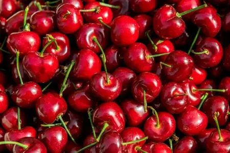 Gilasın saysız-hesabsız faydaları