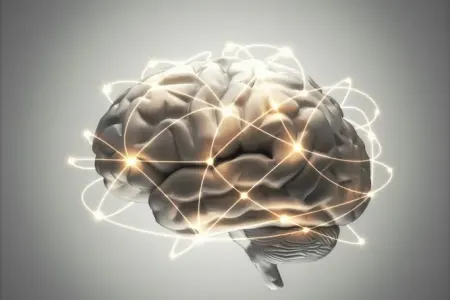 Yediyimiz bu qidalar beyni kiçildir