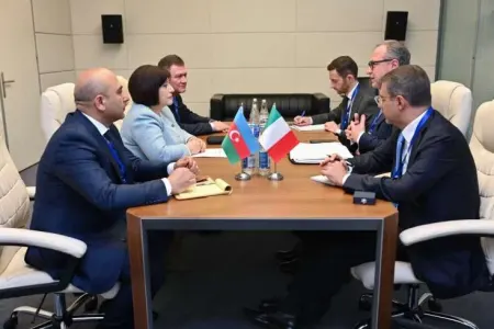 Sahibə Qafarova Ciorcio Mule ilə görüşüb - FOTO