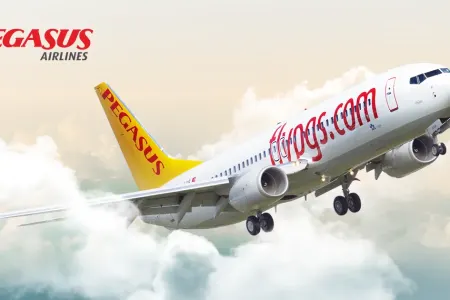 Pegasus-un xalis zərəri - ARTDI - HESABAT