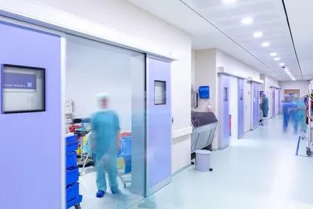 Anasını doğrayıb torbalara yığdı