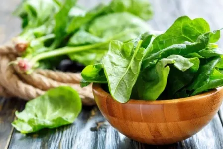 Xərçəng və ürək xəstəliklərinin qarşısını alan - MƏHSUL – Açıqlama