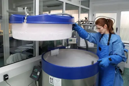 Donmuş insanlar həyata qaytarılacaq