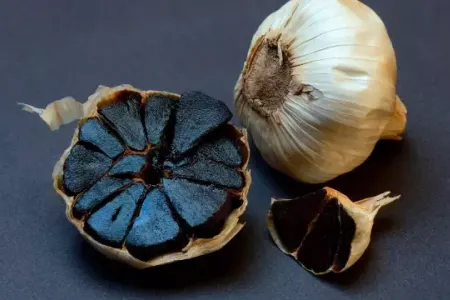Qara sarımsağın faydaları