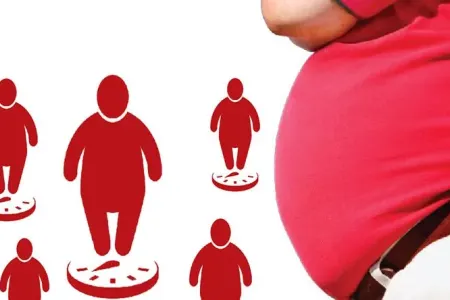 Piylənmə nisbəti artdı