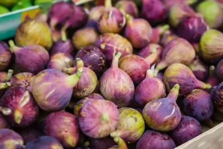 Qəbizliyi aradan qaldıran qidalar