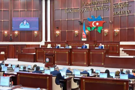 "Dövlət orqanları öhdəliklərini yerinə yetirir"