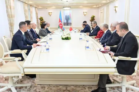 Sahibə Qafarova türkiyəli deputatlarla görüşüb