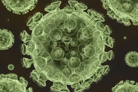 Lassa qızdırması aşkarlandı