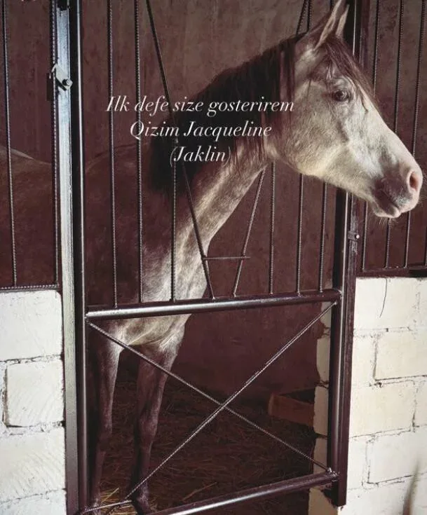 Azərbaycanlı müğənniyə at hədiyyə etdilər - FOTO/VİDEO