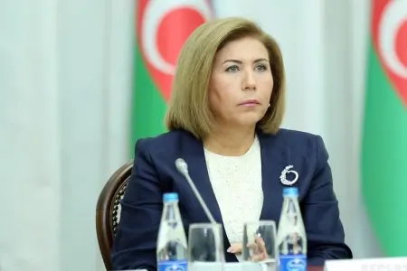 Bahar Muradova Milli Məclisə hesabat verir
