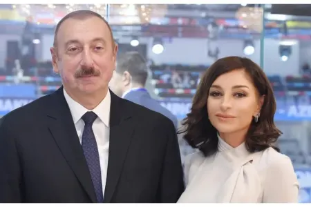 Milli Məclis Prezident və xanımını təbrik etdi