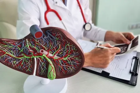 Alimlər qaraciyəri bərpa etməyin yolunu tapdı