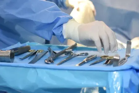 İnsan başını transplantasiya etmək mümkün olacaq