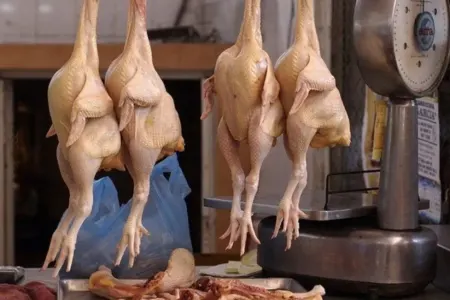 Kənd toyuğunun qiyməti ARTDI