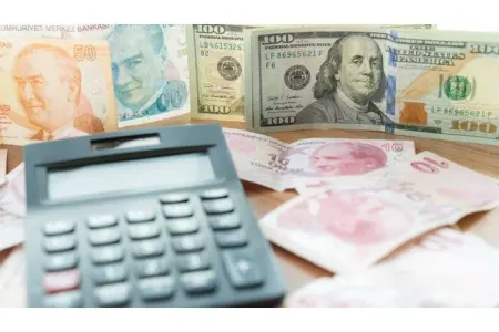 Dollar/TL proqnozu - Pik həddə...