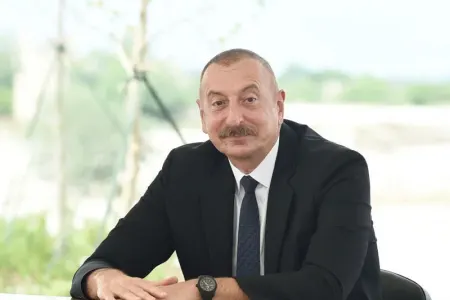 Prezident Alparslan Bayraktarı qəbul edib
