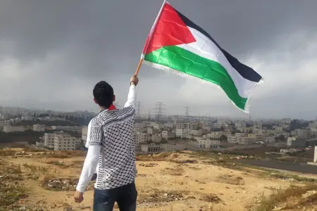 Daha bir dövlər Fələstini tanıdı