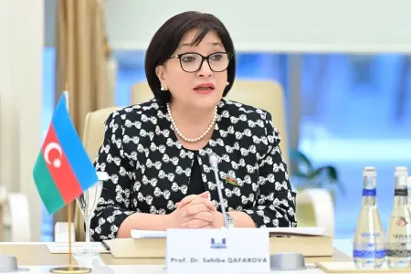 "Milli Məclis 3 parlamentə sədrlik edir"