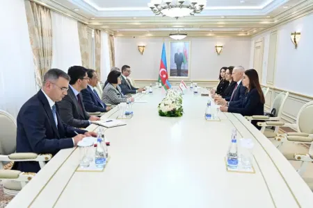 Sahibə Qafarova Zorlu Töre ilə görüşdü