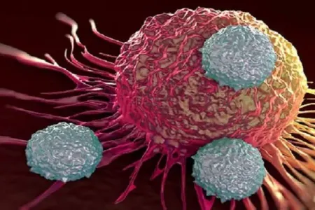 Xərçəng xəstəliyinə yoluxmaq istəmirsizsə, bunu əsla etməyin