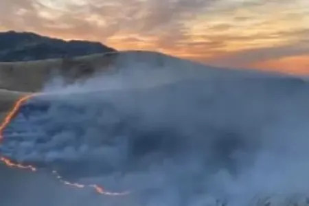 Türkiyədə meşəlik ərazidə yanğın başladı