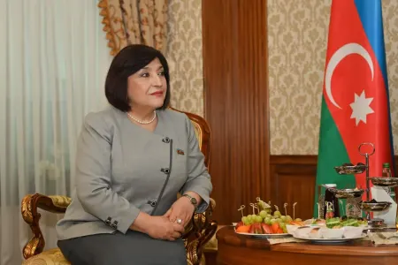 Sahibə Qafarova Belarusa getdi