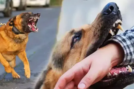 Quduz xəbərdarlığı