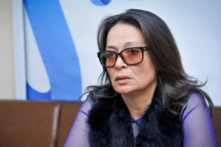 Mehriban Xanlarovaya hücum edildi