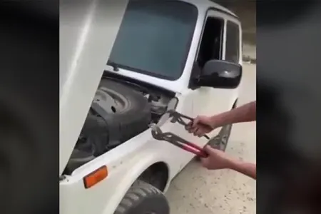Maşının motorxanasından gürzə ilanı çıxdı - – VİDEO