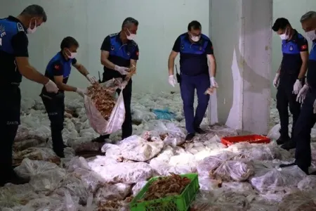 10 ton toyuq məhv ediləcək