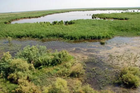 Boğulan uşaq sudan çıxdı, köməyə gələn qardaşı öldü
