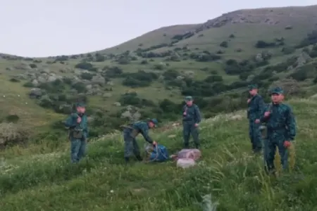 İrandan Azərbaycana 28 kq narkotik keçirmək istədilər - FOTO