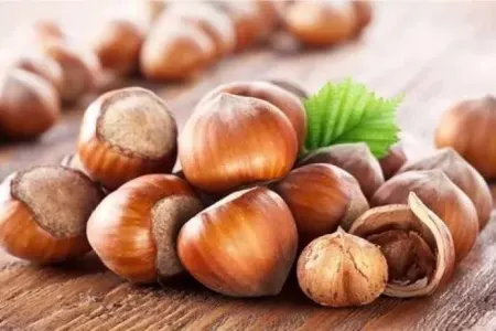 Bu xəstəliyi olanlar hər gün 3-4 fındıq yesin