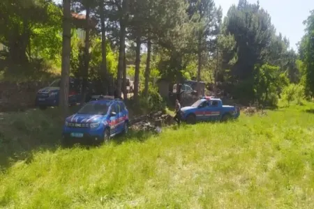 Kənd ərazisindən insan kəlləsi tapıldı