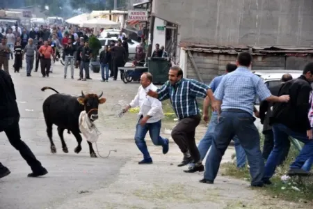 Türkiyədə Qurban bayramında 16 min nəfər XƏSARƏT ALDI