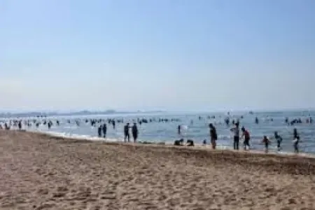 Bakıda çimərlikdə kişilər qadınlara hücum çəkdilər: - Qətlə yetirilən var